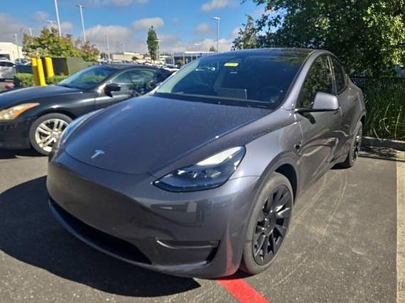 TESLA MODEL Y 2023 7SAYGAEE3PF971128 image